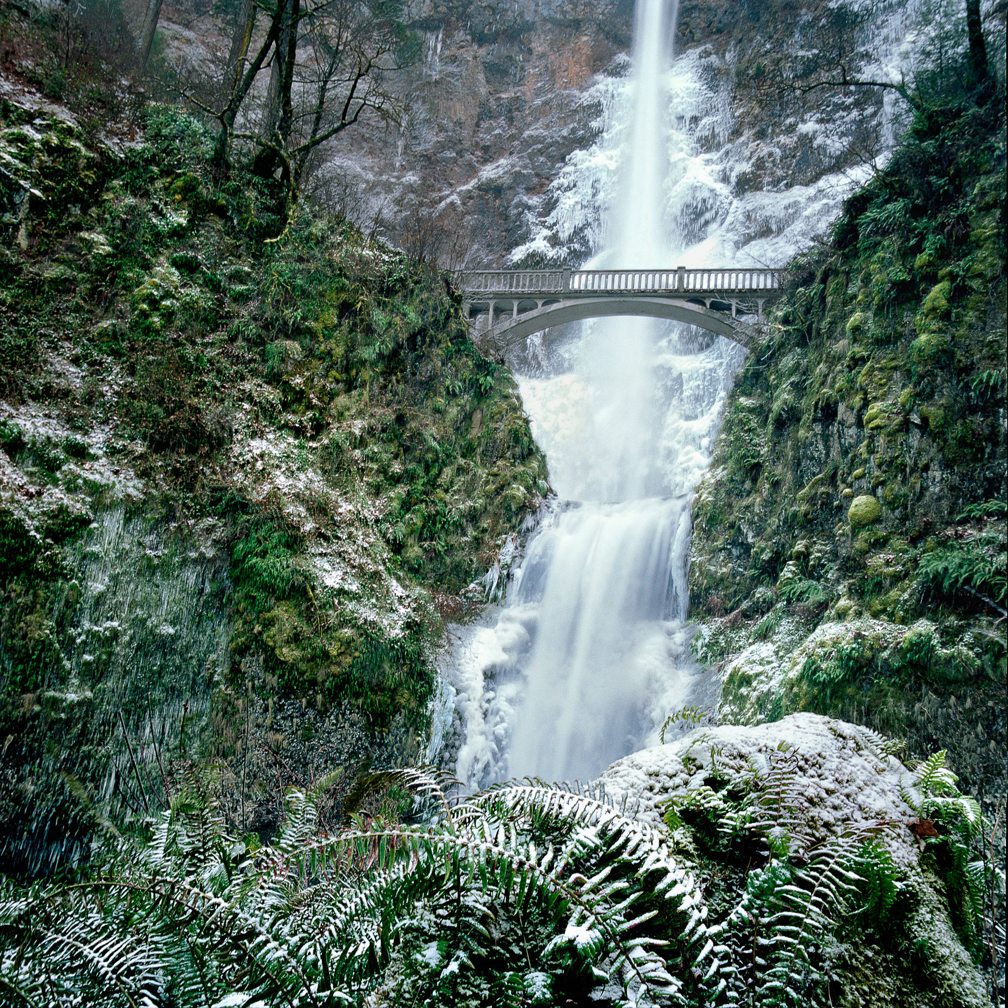 frozen-multnomah-falls-and-bridge-columbia-river-gorge-or-8x8.jpg