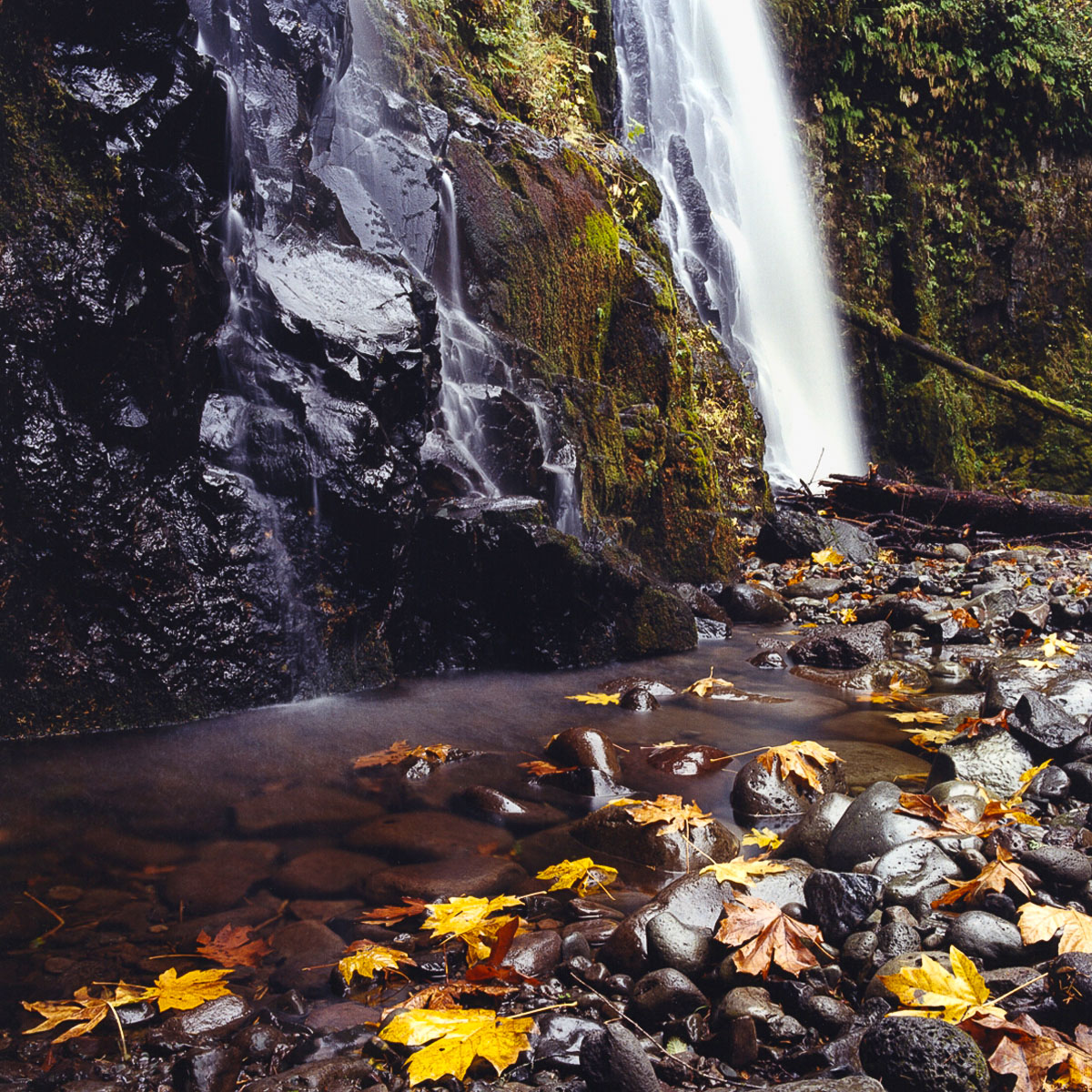 upper-elewah-falls-columbia-river-gorge-or-5x5.jpg