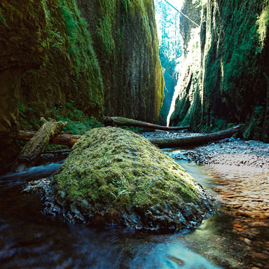 oneonta-gorge-columbia-river-gorge-or-8x8.jpg