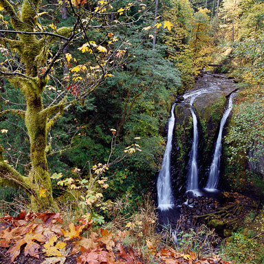 triple-falls-columbia-river-gorge-or-8x8.jpg