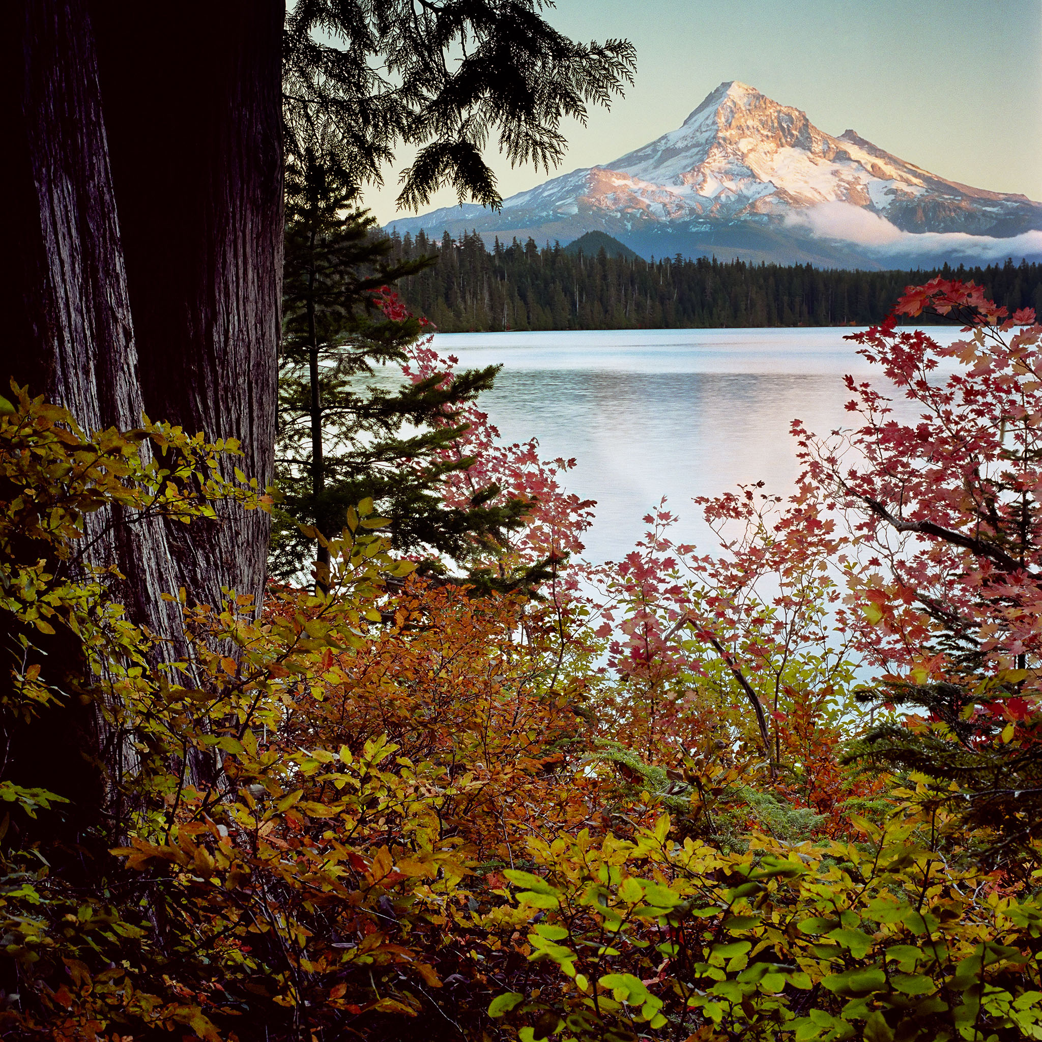 Lost-Lake-mt-hood-national-forest-or-8x8.jpg