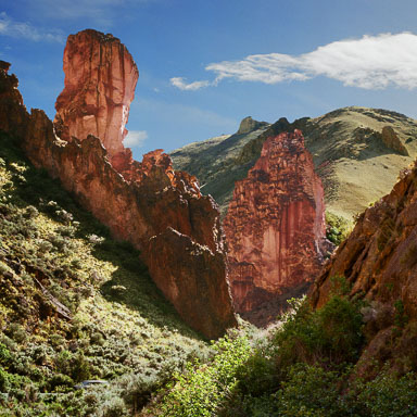 leslie-gulch-towers-owahee-resevoir-or-websit.jpg