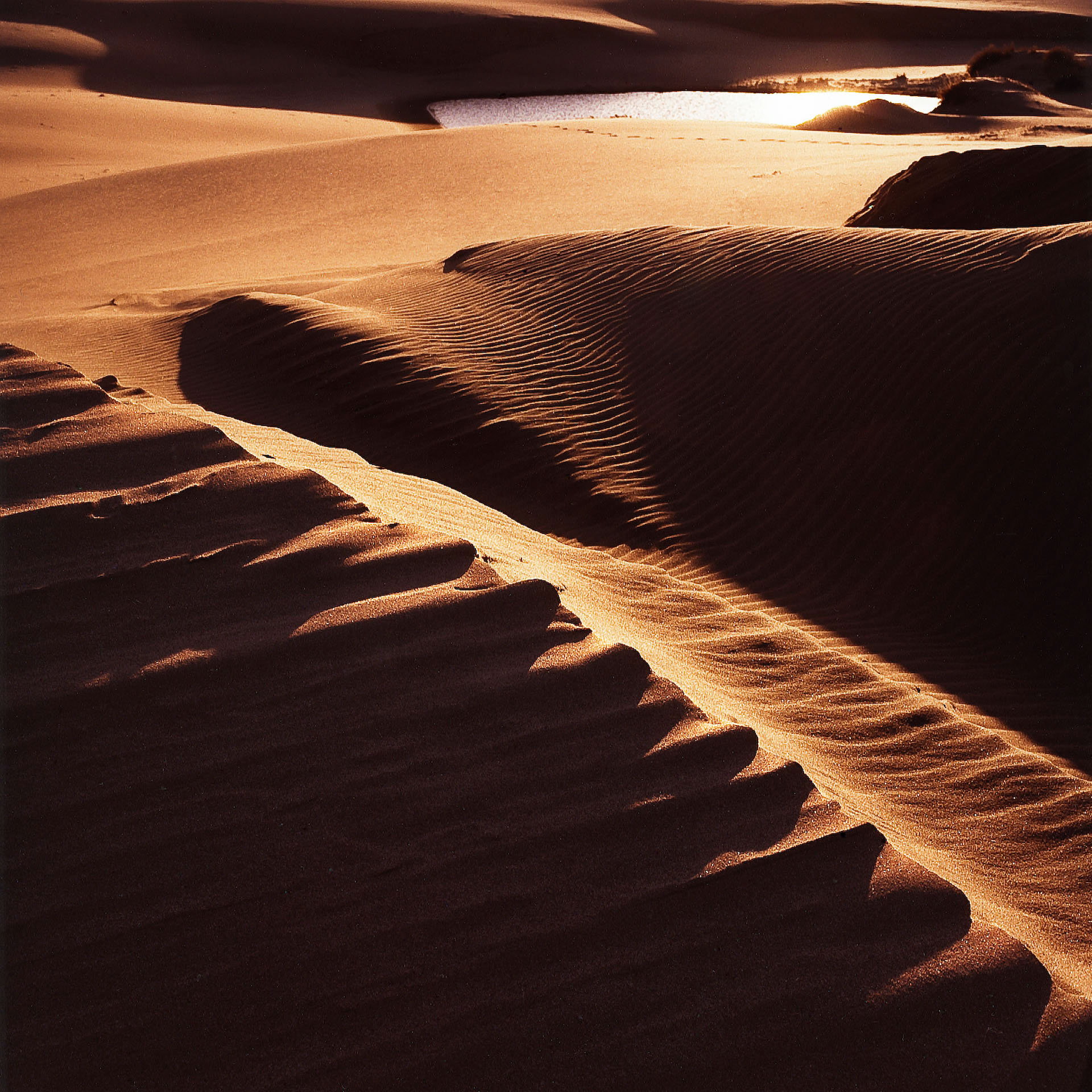 umpqua-dunes-sunset-2-or-coast-8x8.jpg