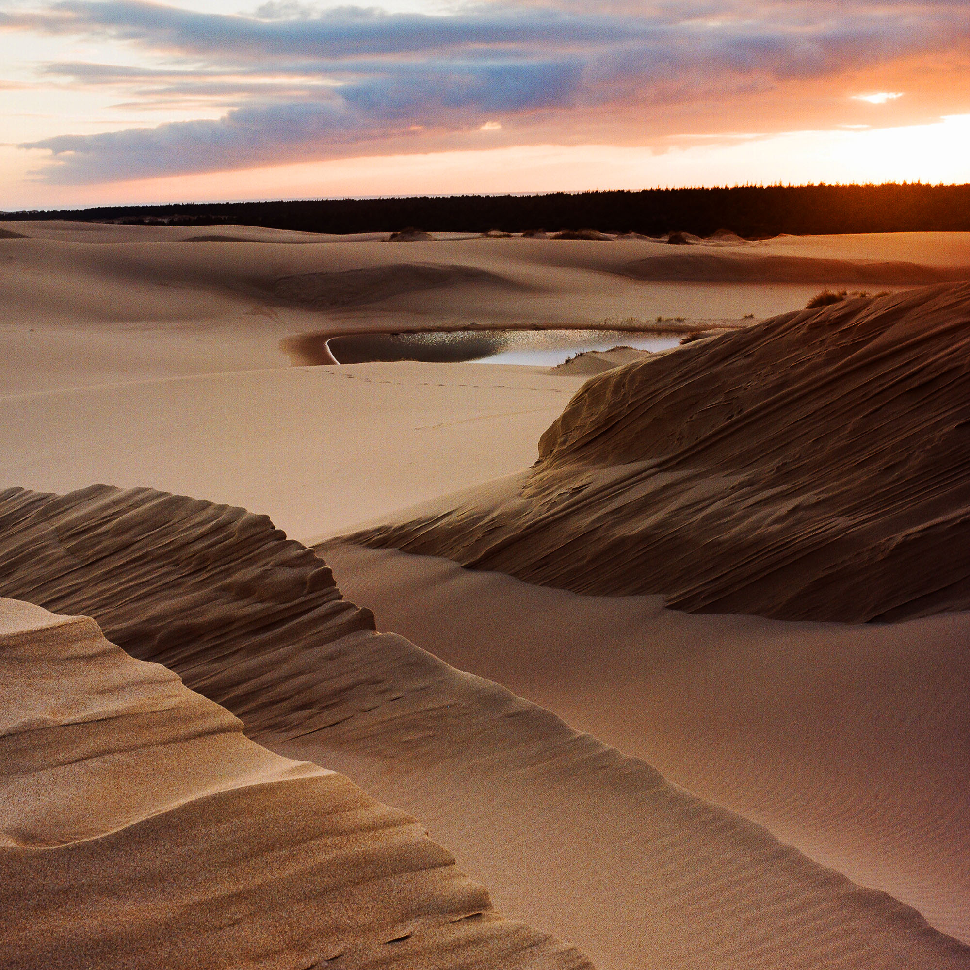 umpqua-dunes-sunset-or-coast-8x8.jpg