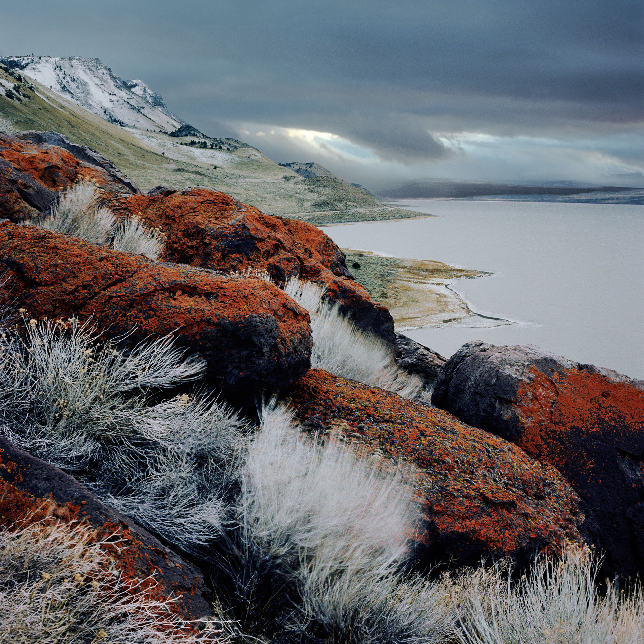 abert-lake-and-red-lichen-central-or-8x8.jpg