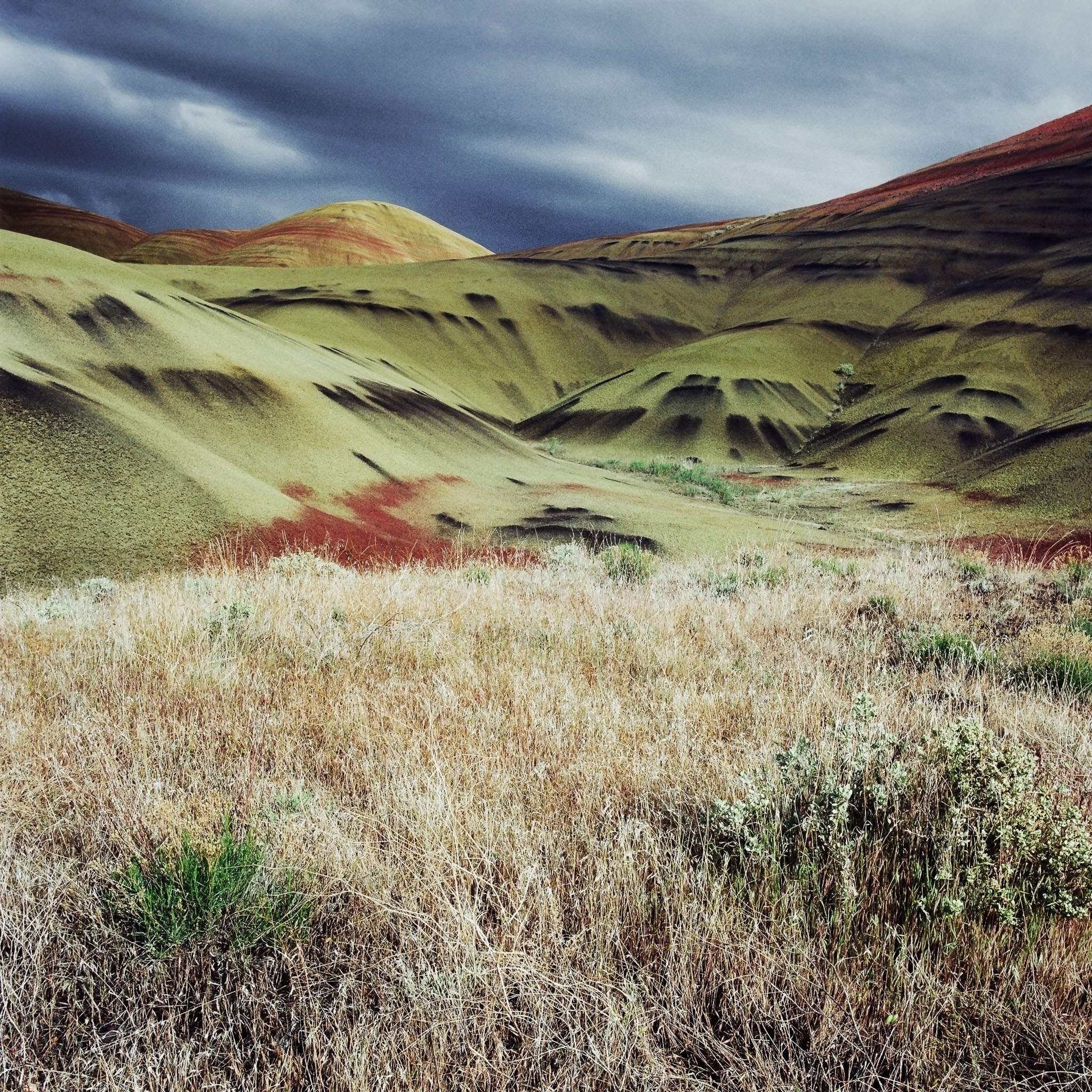 painted-hills-and-grass-john-day-fossil-beds-central-or-8x8.jpg