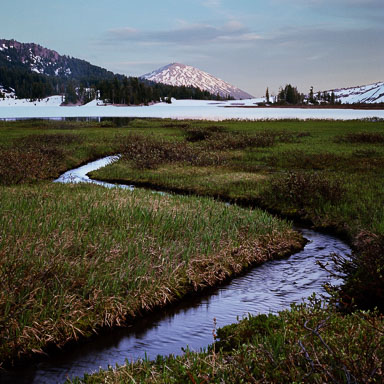 mt-bachelor-from-green-lake-three-sisters-wilderness-central-or-8x8.jpg