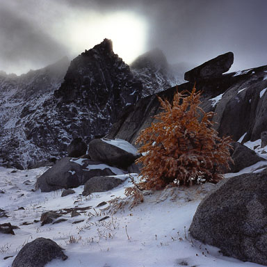 dragon-tail-peak-2-the-enchantments-near-levenworth-wa-8x8.jpg