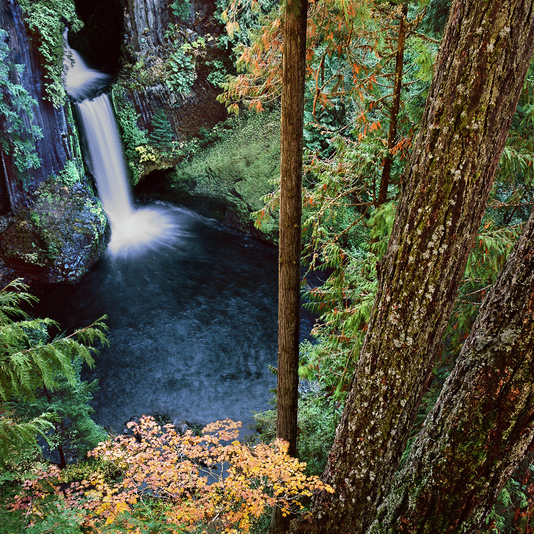 Toketee-Falls-from-above,-Along-the-Umpqua-River,-OR.jpg