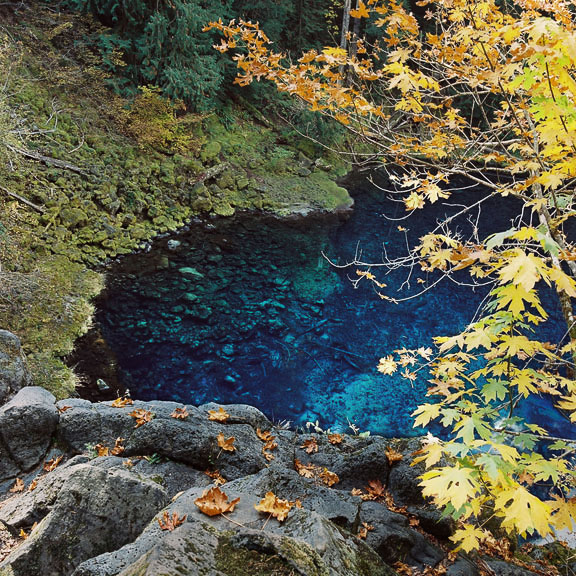 the-blue-pool-along-the-mckenzie-river-or-8x8.jpg