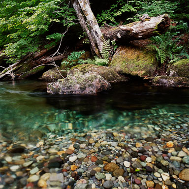 olallie-creek-mt-rainier-national-park-wa-8x8.jpg