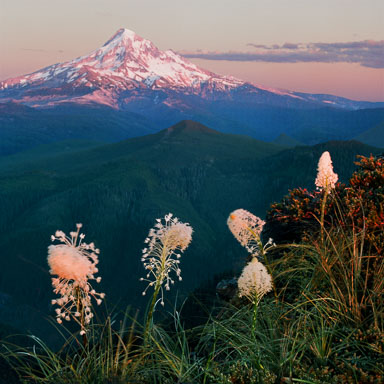 Mount Hood