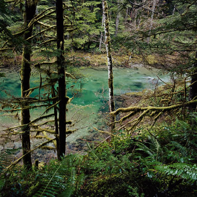 Waters